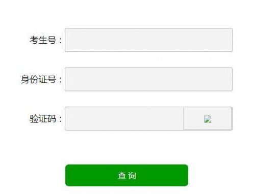 山东招生考试院录取结果查询_山东省招生办录取查询_山东省教育招生考试院录取查询