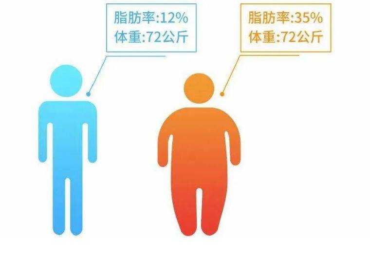 饮食菜谱健康图片_健康饮食菜谱_健康饮食菜谱手抄报