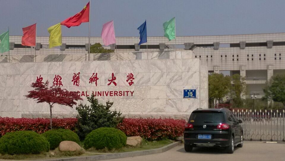 全国排名前十的本科大学_全国三本大学排名_全国大学排名本科