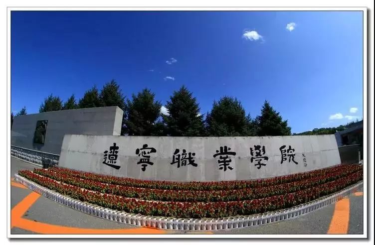 辽宁现代职业服务技术学院学费_辽宁服务现代职业技术学院专业_辽宁现代服务职业技术学院