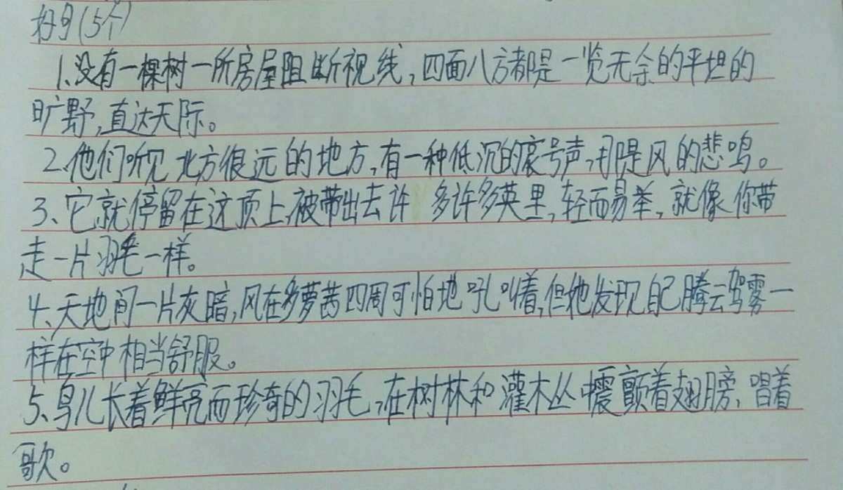 绿野仙踪好词好句_《绿野仙踪》好句_好词好句绿野仙踪