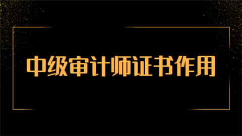 初级报考审计条件师证有用吗_初级审计师要求_初级审计师报考条件