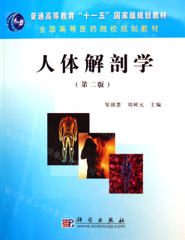 山东省中医药高等_山东省高等中医药学校_山东高中医药高等专科学校