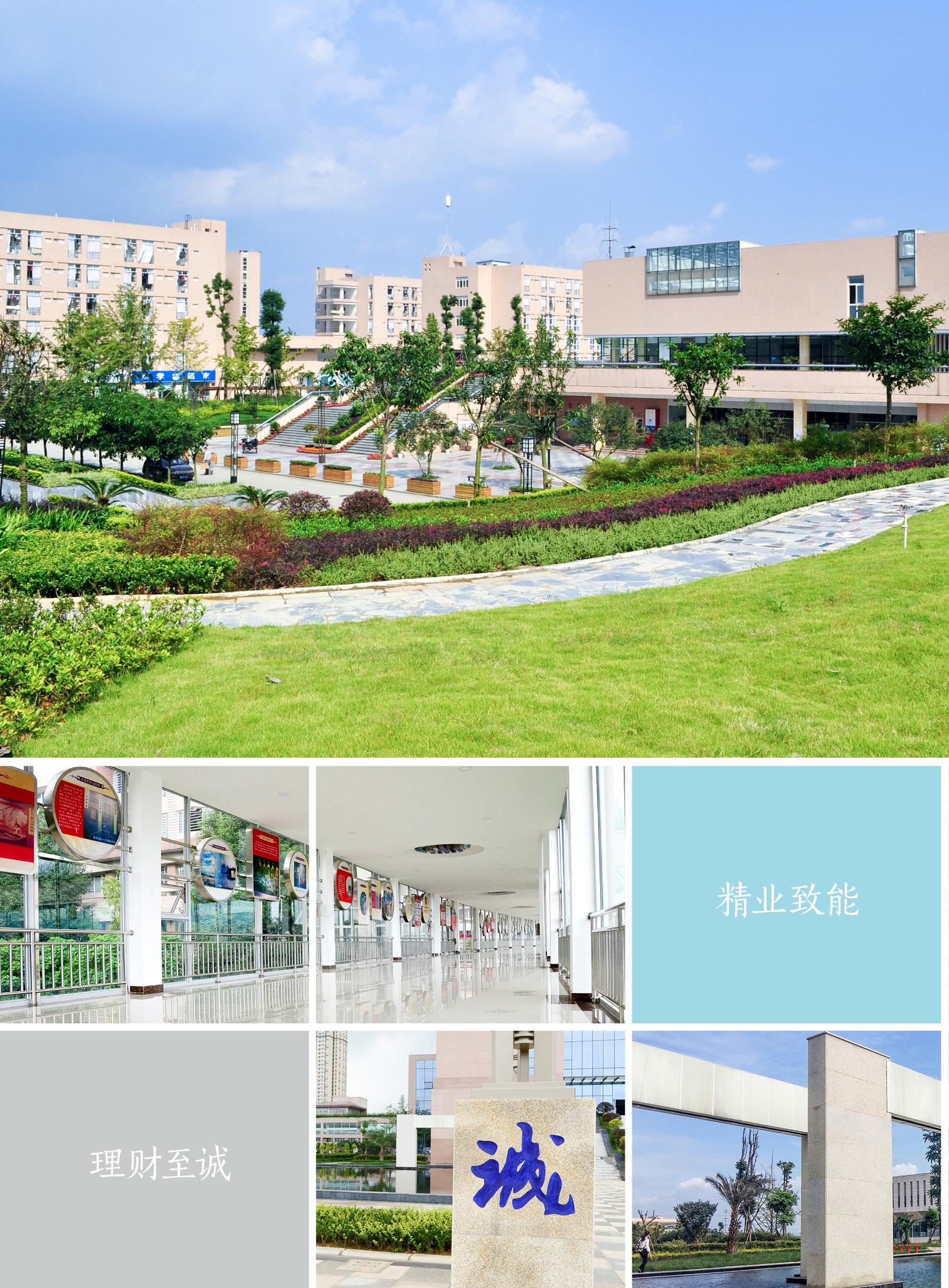 哈尔滨财经大学分数线_哈尔滨财经大学是985吗_哈尔滨财经大学