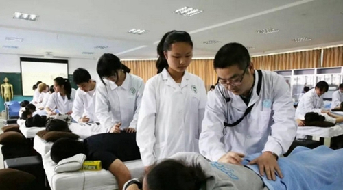 河南针灸推拿中专学校_河南中医学院针灸推拿职业学院_河南推拿职业学院针灸