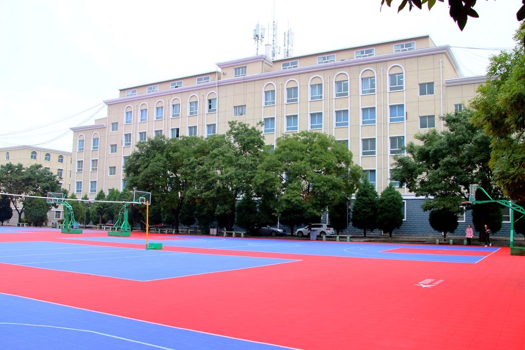 山东科技职业学院_山东科技学院职业学院在哪_山东科技职业学院院系