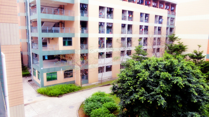 广东轻工职业技术学院院系_广东轻工职业技术学院原名_广东轻工职业技术学院怎么样