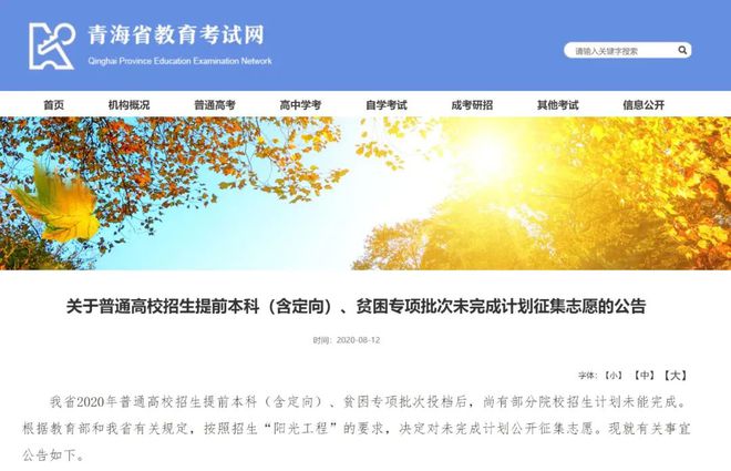 云南省招生考试工作网_云南省招生考试工作网登陆入口_云南考试招生工作网ie浏览器