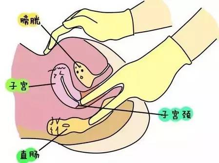 体检被男医生扒唇内检小说_体检被男医生扒唇内检小说_体检被男医生扒唇内检小说