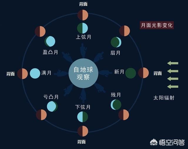 百科问答题知识大全_百科知识问答题_百科问答题目