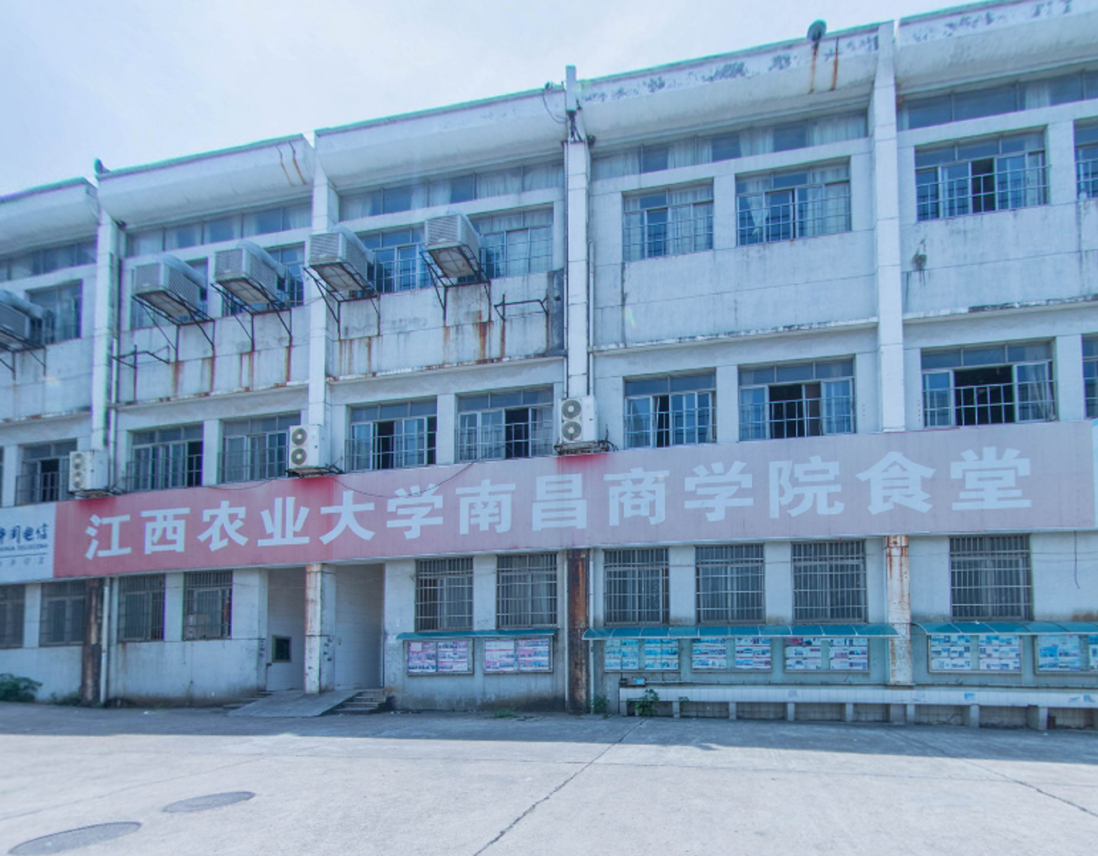 延边大学就业服务中心_延边大学就业系统_延边大学就业网