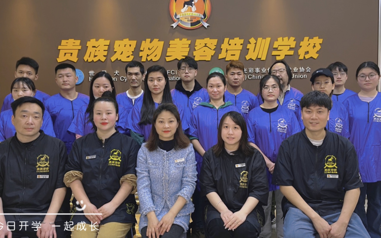 成都宠物美容培训_成都宠物美容师宠物美容培训_成都宠物美容培训学校排名