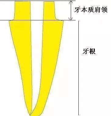 校友录名单_校友录首页_校友官网