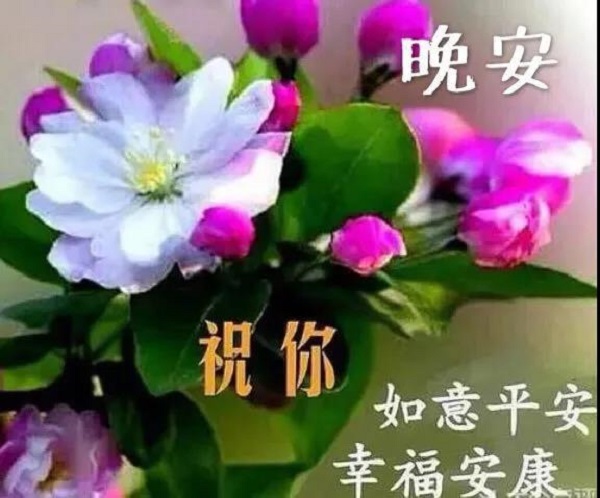 早安最美一句话_最美的早安心语_最美的一句早安话
