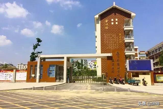 厦门科技专修学院_厦门科技专修学院哪些专业_厦门科技学院怎么样