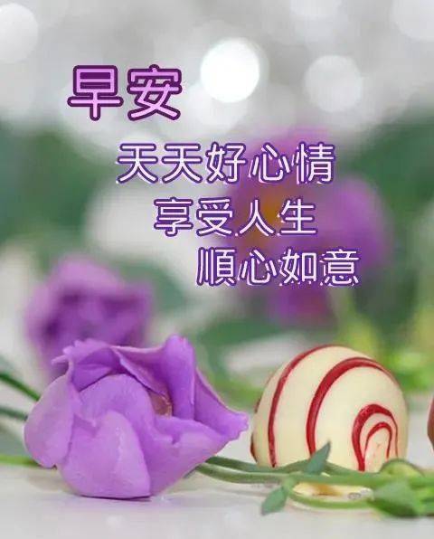 高考鼓励与祝福的话_高考祝福鼓励的话_高考祝福语和鼓励的话