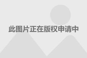 含专科的本科_专科本科含大学学历吗_含专科的本科大学