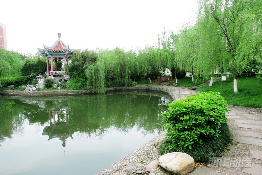 含专科的本科大学_专科本科含大学学历吗_含专科的本科