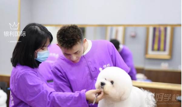 狗博士宠物美容学校_宠物美容师的培训学校_美容博士宠物狗学校招聘