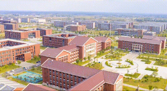 东莞理工学院学生工作管理系统_东莞理工学院学生管理系统_东莞理工学院学生处