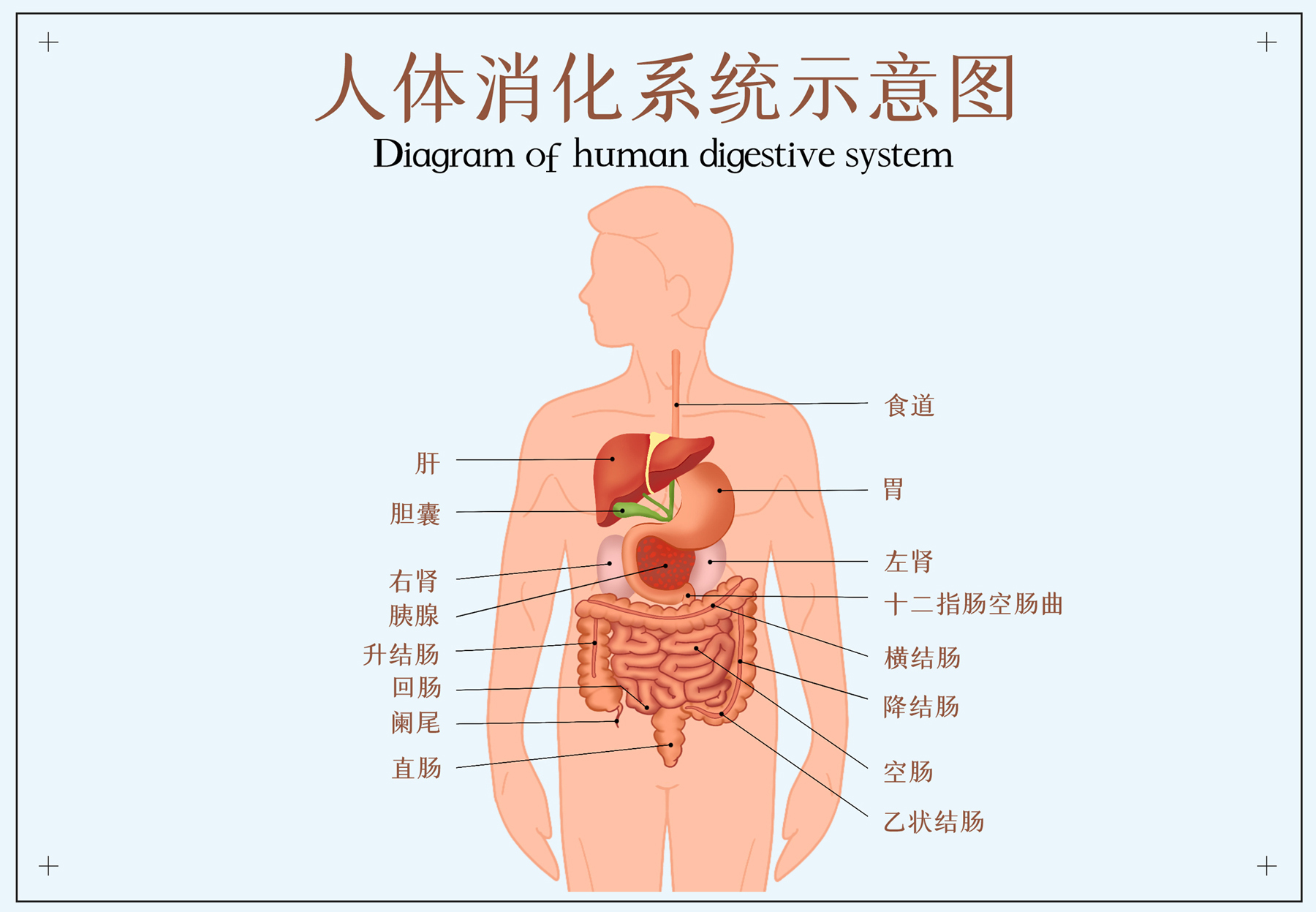 山东农业教务处_山东农业大学综合教务系统入口_山东农业大学综合教务系统