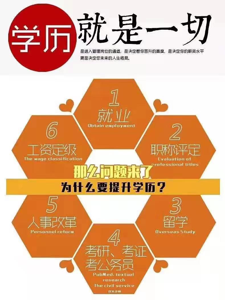 山东省教育招生考试院官网网站_山东考生招生办_山东招生官网首页