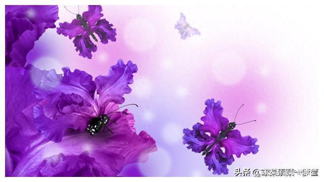 最打动人心的祝福语_打动人心语祝福语大全_打动人心语祝福语怎么说