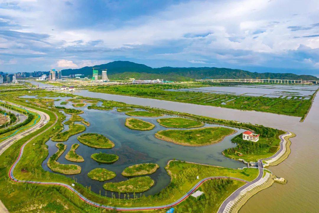 河南省公务员查询系统_河南公务员网站_河南省公务员资讯网