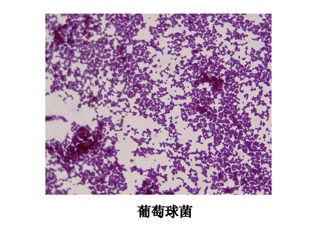 造价师真题讲解_二级造价师答案_2020造价师视频