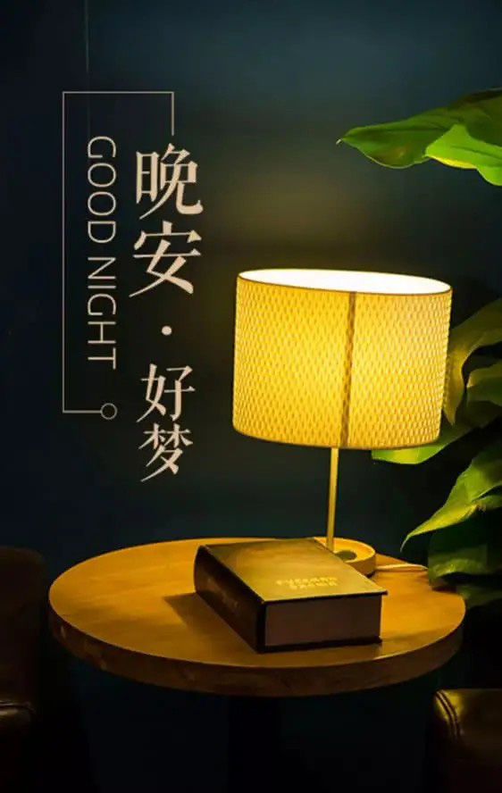 夜晚句子描写小说片段_小说写夜景的句子_小说描写夜晚的句子
