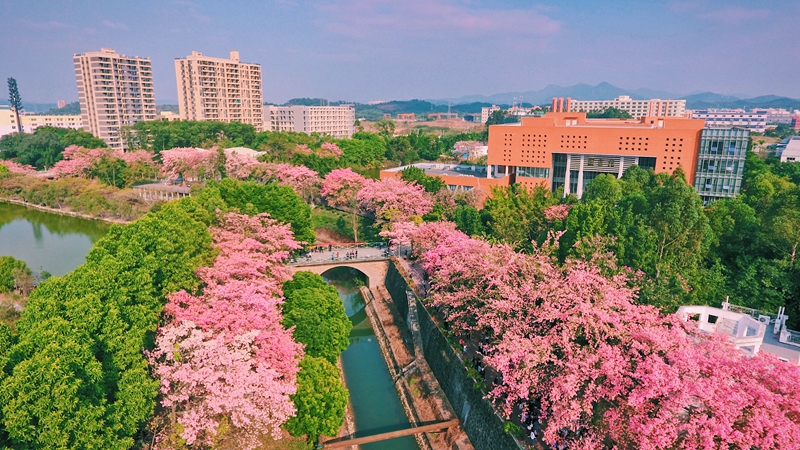 广州大学华软软件学院怎么样_广州大学华软软件技术学院_广州大学学院华软软件学院