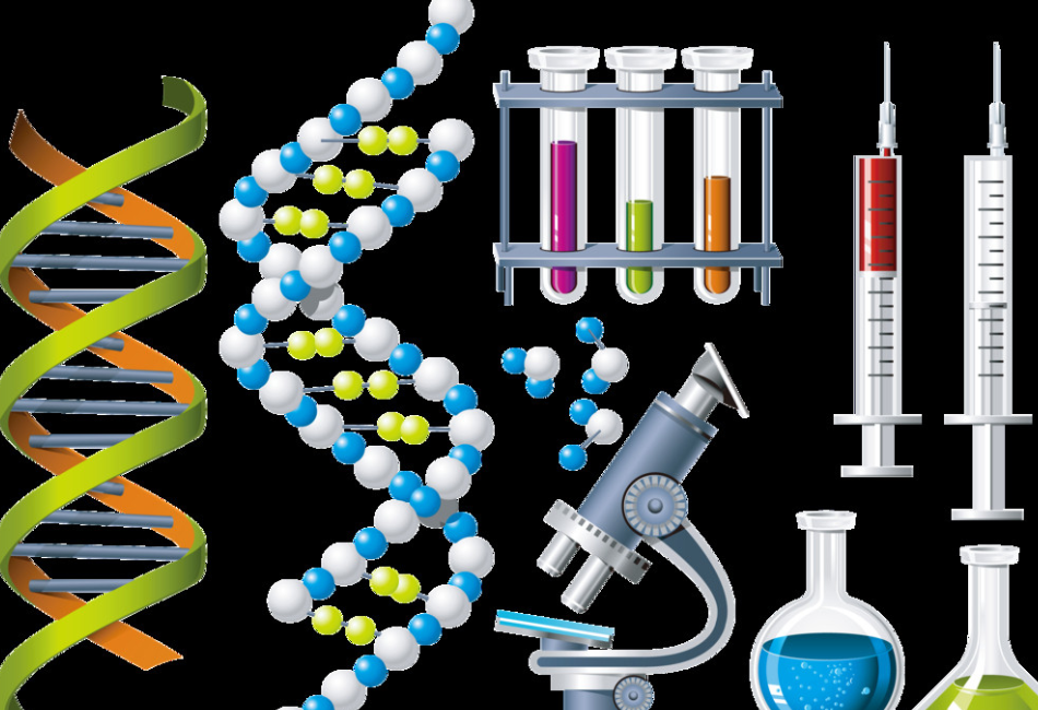 高三生物教学反思_高三生物教学反思范文大全_高三反思生物教学内容
