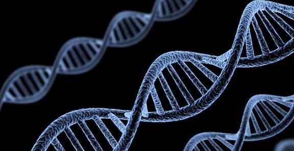 高三生物教学反思范文大全_高三反思生物教学内容_高三生物教学反思