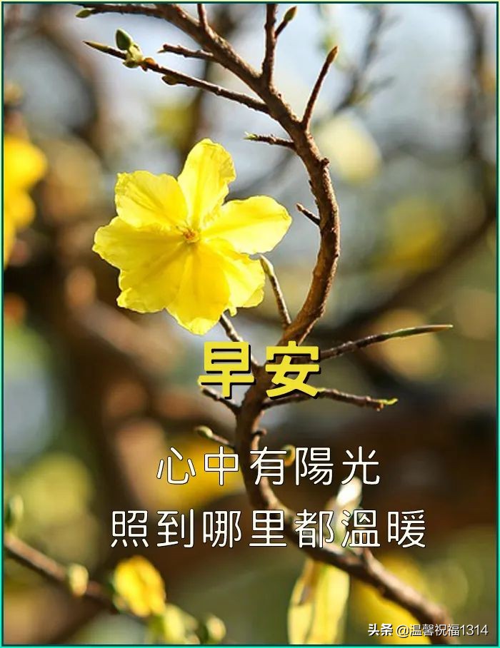 幽默中秋简短句祝福语_幽默风趣的中秋祝福句子_中秋祝福简短句幽默