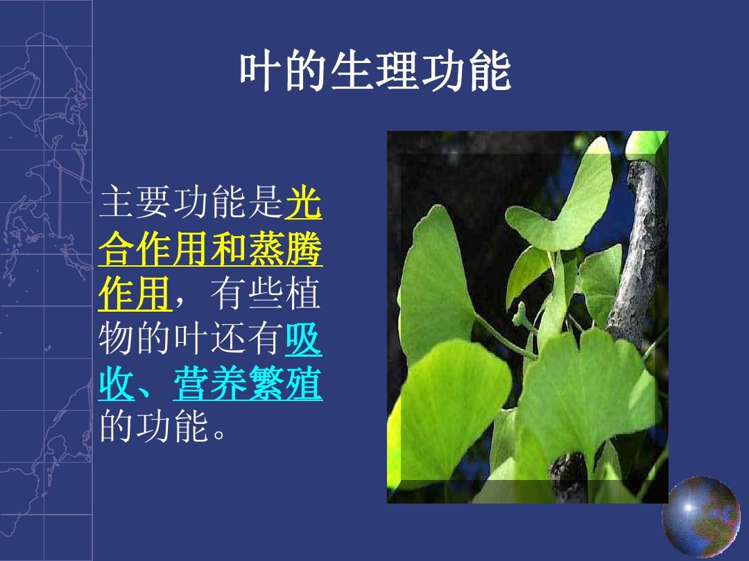 河北农业大学研究生学院_河北农业大学农学院研究生_河北农业大学研究生招生官网