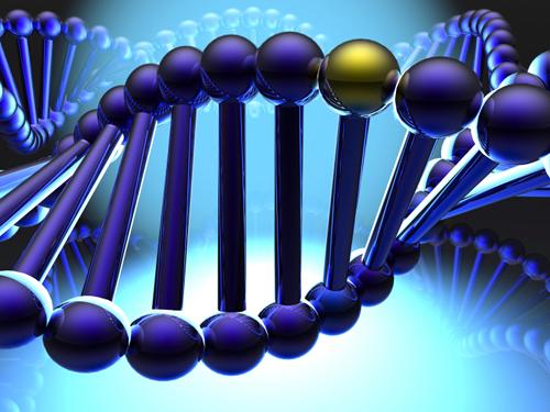 河北农业大学研究生学院_河北农业大学研究生招生官网_河北农业大学农学院研究生