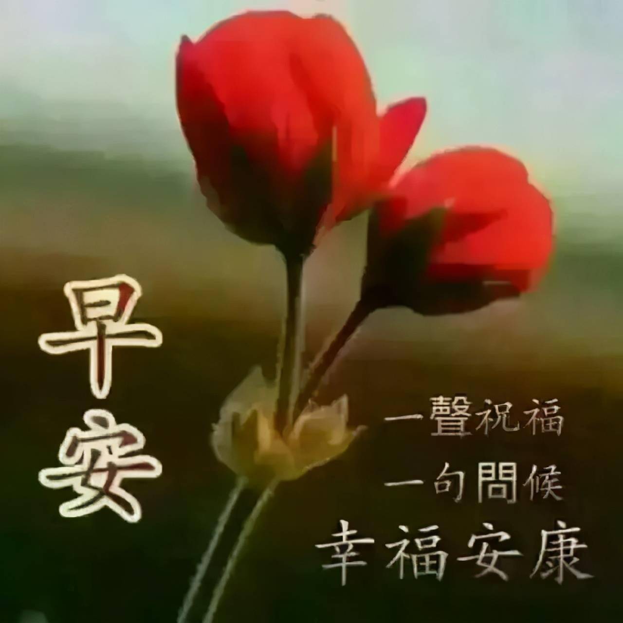 简洁中秋大气语祝福语大全_中秋节简洁大气的祝福语80句_中秋祝福语简洁大气