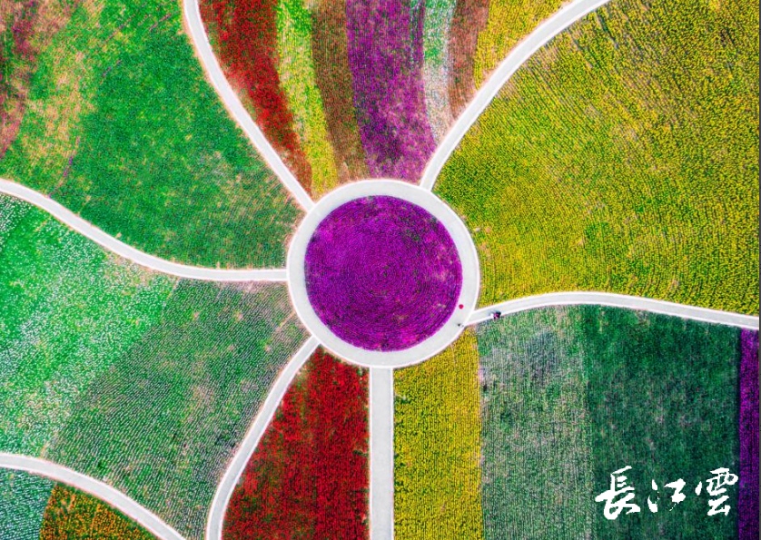 汉江科技学校后续_汉江科技学校占地多少亩_汉江科技学校