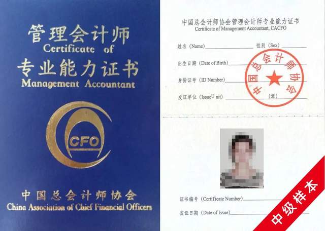 从业会计证查询成绩怎么查_从业会计证查询成绩网站_会计从业证成绩查询