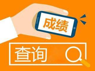 会计从业资格考试成绩查询_从业会计资格查询考试成绩网站_会计从业资格证查成绩