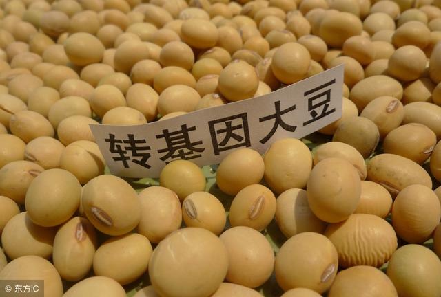 基因食品的好处_转基因食品的好处_基因食品是什么