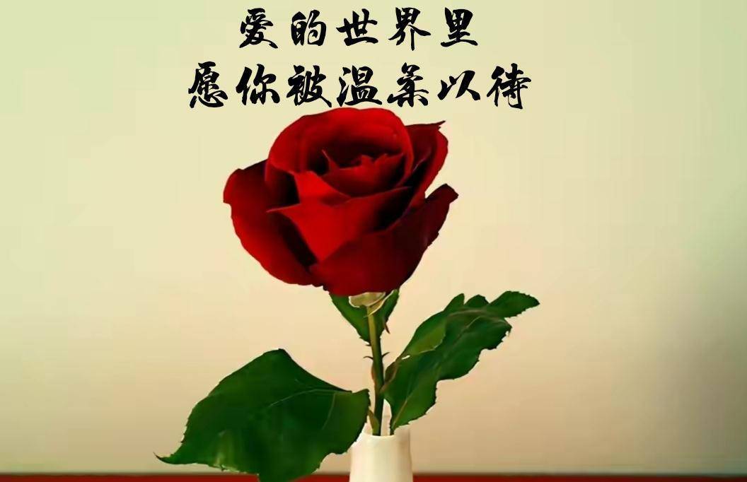 最美的时光7_最美时光大结局介绍_最美时光app