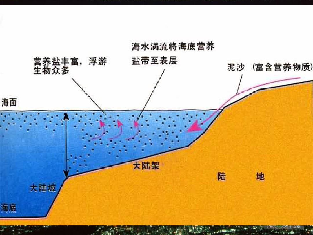 北海道形成渔场的有利条件_原因北海道渔场形成的原因是_北海道渔场形成的原因