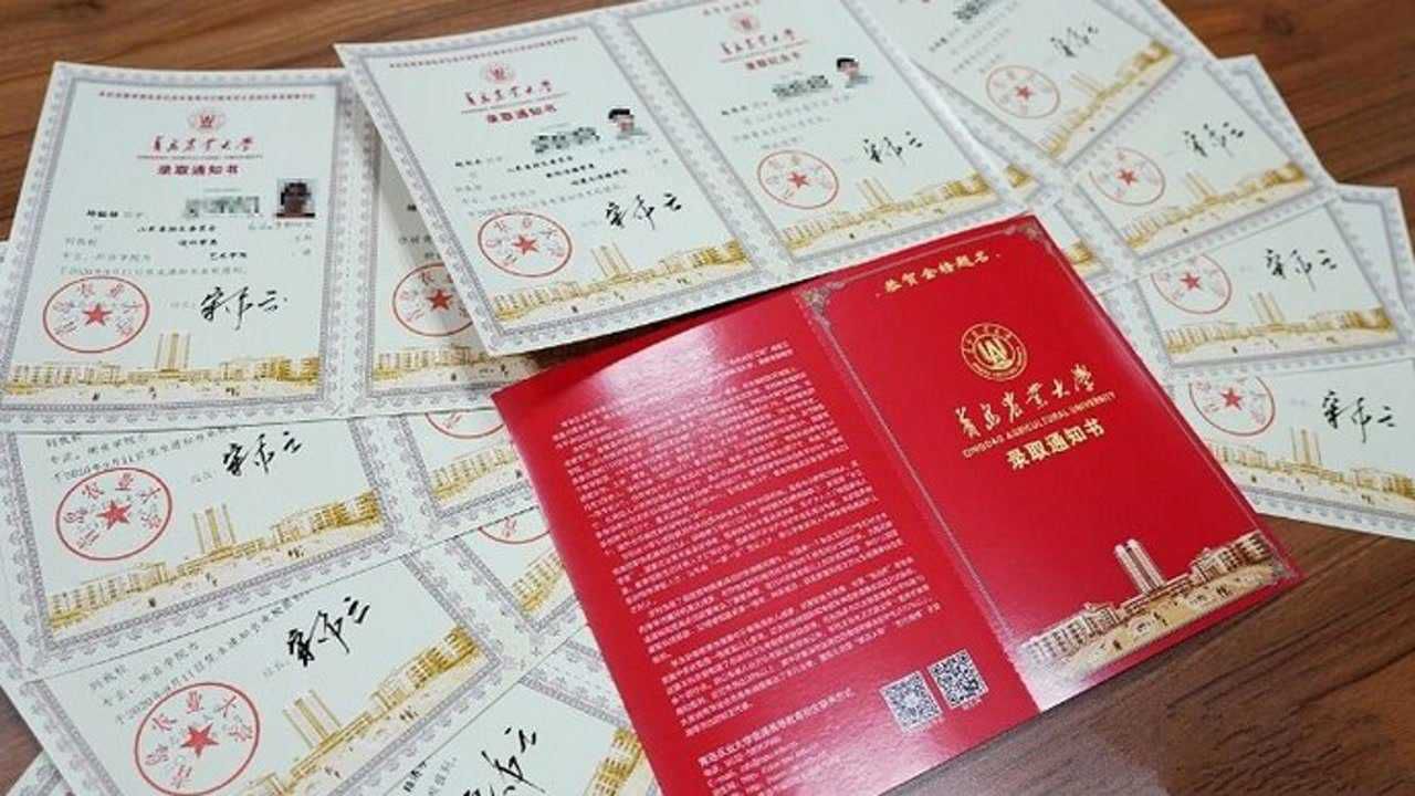 山东录取结果查询_录取查询山东结果怎么查_山东录取结果查询网址