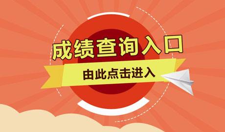 高级会计师考试成绩查询_高级会计职称考试成绩查询_高级会计师考试成绩单