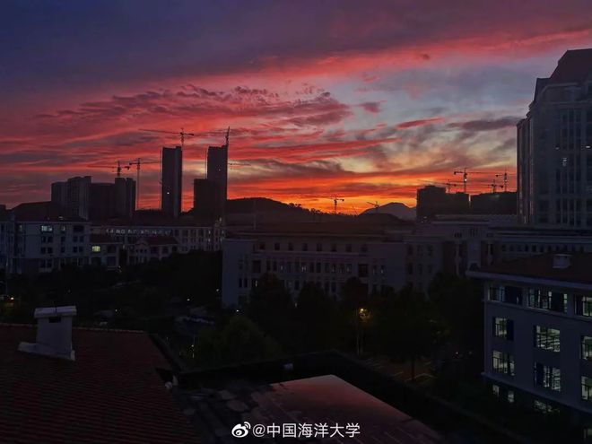 山东大学分校威海分校分数线_山东大学威海分校2023录取分数线_山东大学威海分校2023录取分数线
