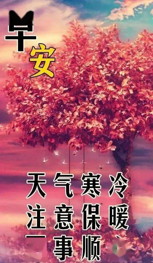 话语祝福寒露怎么说_寒露祝福语一句话_寒露祝福短语