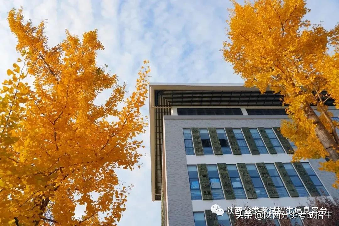 宜宾学院高职单招_宜宾职业学院单招专业_宜宾职业技术学院单招