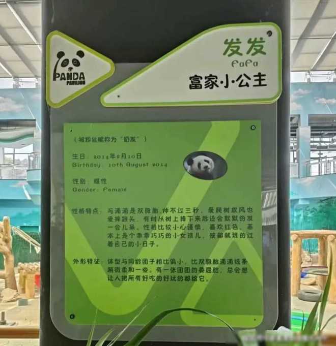 弟弟藏了姐姐高考准考证_弟弟高考姐姐穿什么衣服_弟弟藏姐姐高考准考证姐姐回应