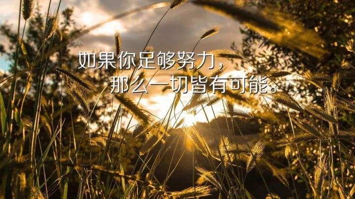高考加油打气励志的句子_高考加油励志文字_高考加油励志长句